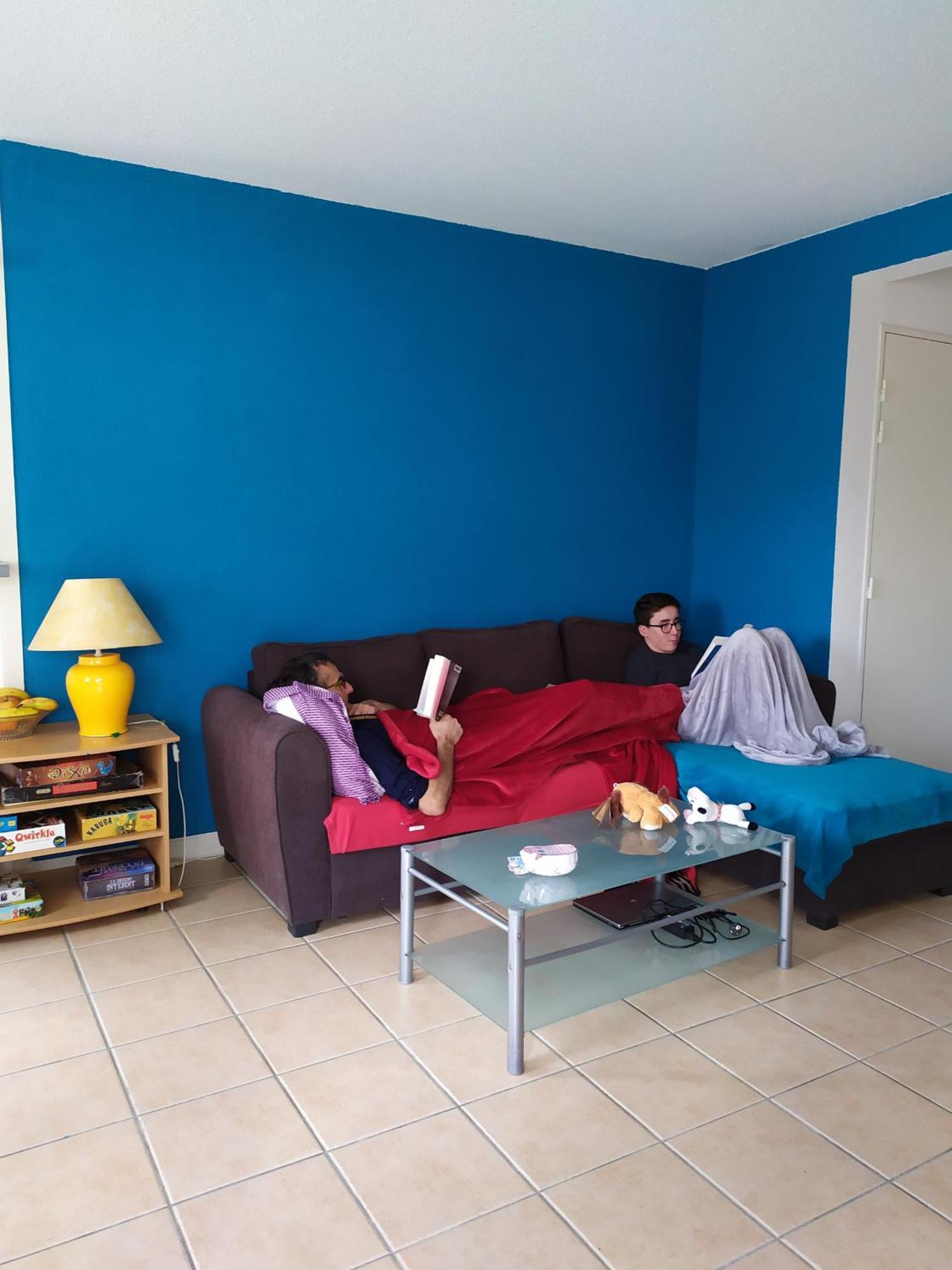 Carcassonne T3 Residentiel Rez De Jardin Piscine, Wifi, Tennis, Fitness Apartamento Exterior foto